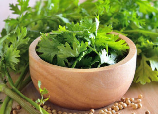 Tips to Eliminate Up to 80% of Heavy Metals from Your Body in 48 Days