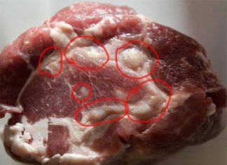 Signs of Recognizing Diseased Pork