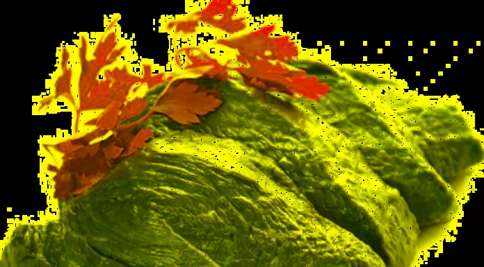 Tips: Selecting & Preparing Beef