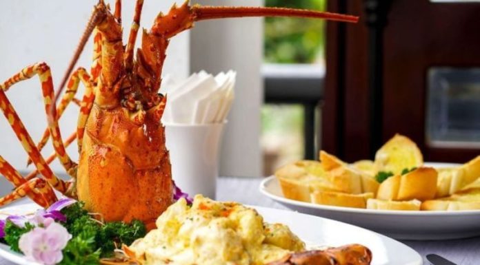 Tantalizing Tastes: 11 Dishes Featuring Alaska Lobster