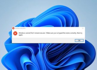 What is Winservices.exe on Windows? Here’s how to fix related errors.