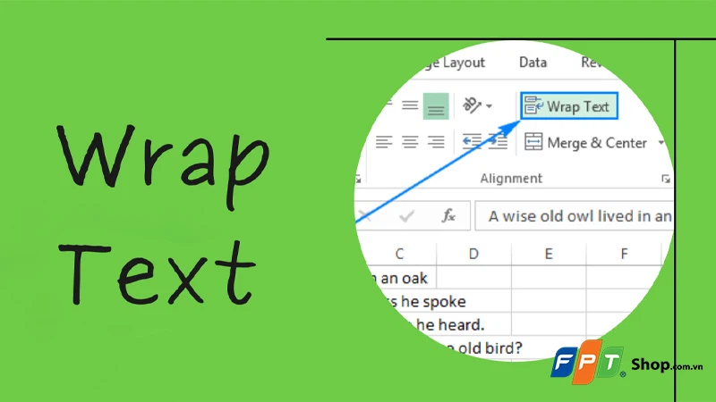 Using the Wrap text feature in Google Sheets to organize data effectively