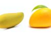 Which is the better choice: long or round mangoes when buying?