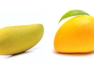 Which is the better choice: long or round mangoes when buying?