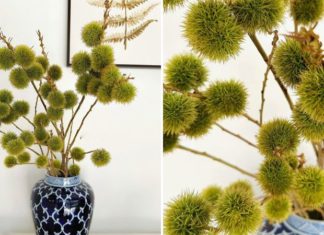 Bringing Back the Trend: Unique and Relaxing Autumn Decor with Fruit Branches