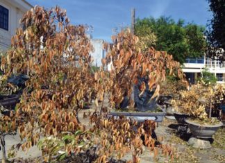 “Keep These 5 Things in Your Home to Stay Healthy and Debt-Free”