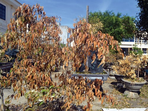 “Keep These 5 Things in Your Home to Stay Healthy and Debt-Free”