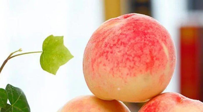 5 Tips for Choosing Juicy and Sweet Peaches this Summer