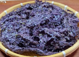 Treasure of the Ocean: A Nutrient-rich, Brain-Boosting, Longevity Superfood