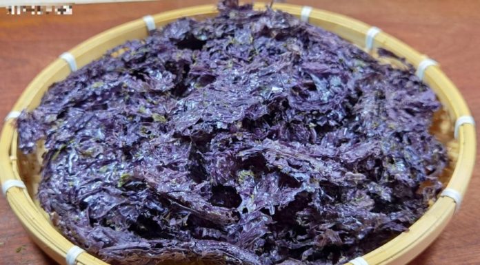 Treasure of the Ocean: A Nutrient-rich, Brain-Boosting, Longevity Superfood