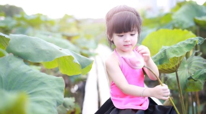 Babies born during these 3 specific time frames: Boys or girls are smarter than average and later become more obedient and respectful to their parents