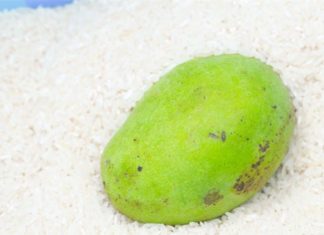 5 Surprising Uses of Rice Beyond Cooking