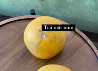 Delicious Pomelo: The Perfect Fruit for Hot or Humid Weather.