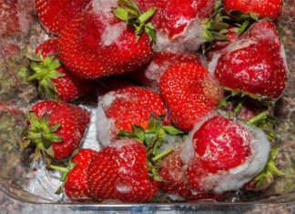 The 3 most dangerous cancer-causing items in your kitchen, truly terrifying during the humid weather!