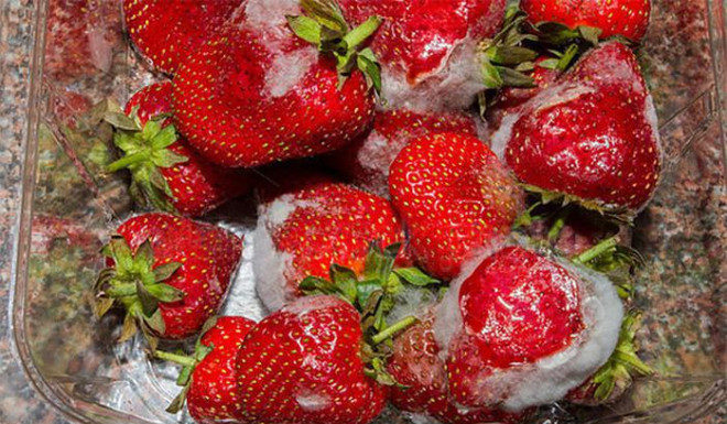 The 3 most dangerous cancer-causing items in your kitchen, truly terrifying during the humid weather!