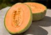 3 Foolproof Tips for Choosing the Perfect Golden Melon