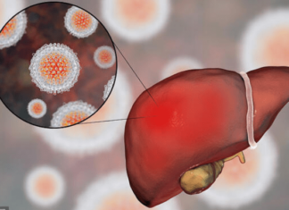 5 Superfoods for a Healthy Liver: Incorporate them into your diet