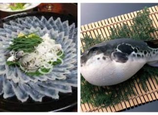 Avoid These 6 Fatty Fish Types Contaminated with Heavy Metals: The Second Type Contains High Levels of Mercury, Stay Away