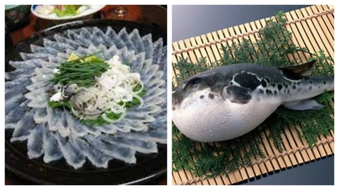 Avoid These 6 Fatty Fish Types Contaminated with Heavy Metals: The Second Type Contains High Levels of Mercury, Stay Away