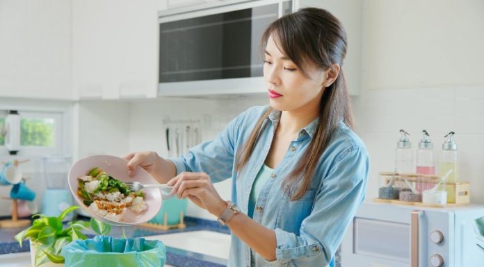 6 Bad Habits that Encourage Insects to Thrive in Your Home