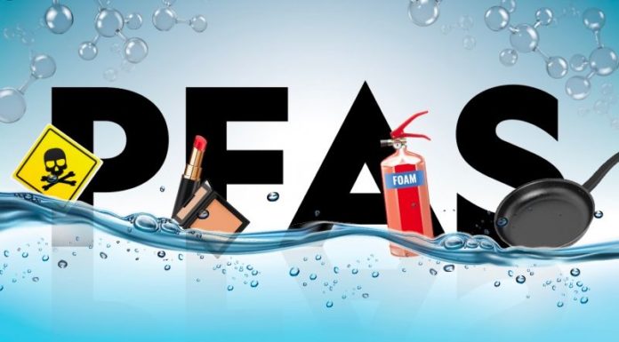 9 Hazardous Chemicals That Could Be Lurking in Your Household Items