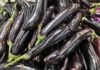 Tips for buying eggplants: Should you choose straight or curved ones?