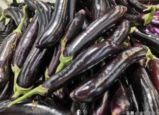Tips for buying eggplants: Should you choose straight or curved ones?