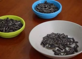 Incredible Uses of a Refrigerator You Probably Didn’t Know About