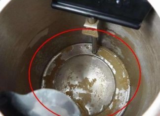 The 99% of families who use a microwave every day overlook one thing: A shocking discovery in photos.