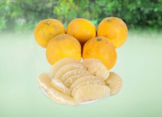 Don’t Waste Watermelon Rinds! Try These 2 Delicious and Healthy Recipes