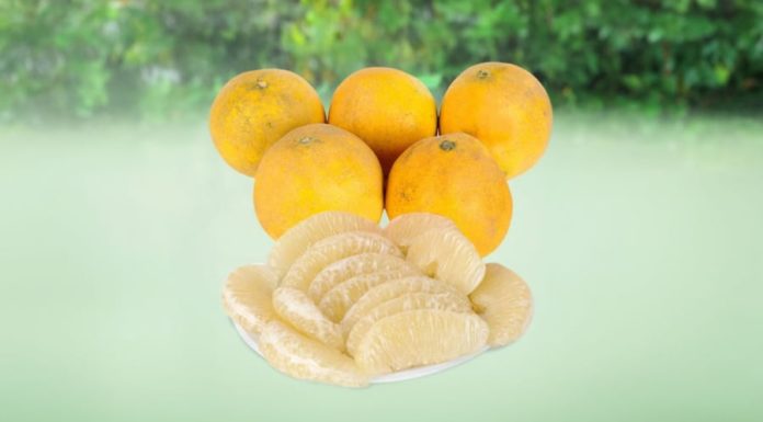 Don’t Waste Watermelon Rinds! Try These 2 Delicious and Healthy Recipes