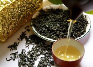 Miraculous Transformation After Putting Dry Tea Residue in the Fridge for a Week