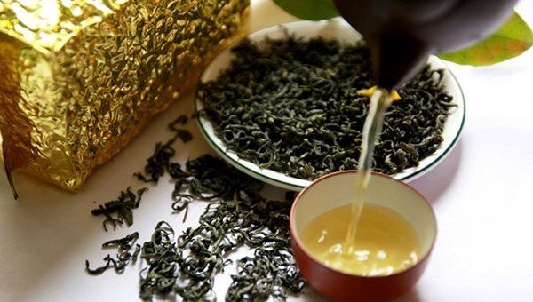 Miraculous Transformation After Putting Dry Tea Residue in the Fridge for a Week