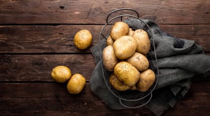 Preserve your potatoes like this to prevent sprouting and rotting for a whole year