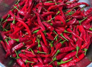 Preserve the freshness of fresh chillies for up to six months with this unique storage method