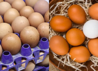 How long can eggs be stored in the refrigerator?