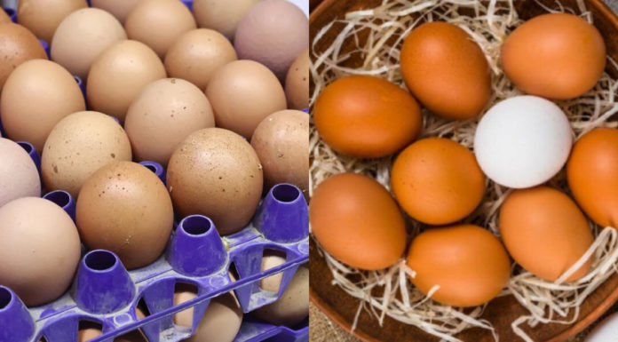 How long can eggs be stored in the refrigerator?