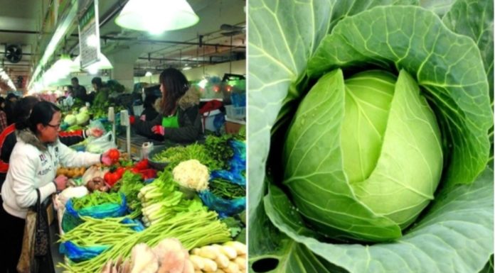 Tomato and cabbage signs of high nitrogen content affect health, women should be cautious.