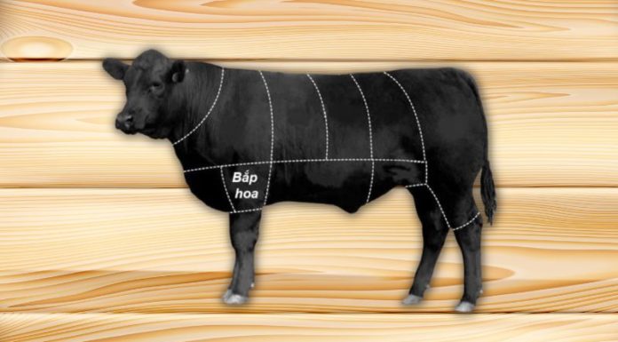 What is beef cauliflower? How to choose delicious beef cauliflower