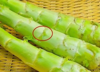 A vegetable with 17 times more folic acid than cabbage, healthier than beef, beneficial whether eaten raw or cooked.