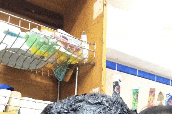 Girl Freaks Out as Induction Cooker Turns On Automatically, Causing Hilarious Mishap