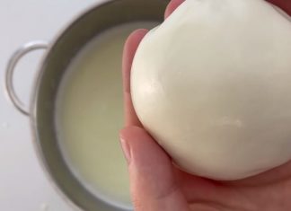 Secret recipe to make delicious homemade mozzarella cheese with only 2 ingredients