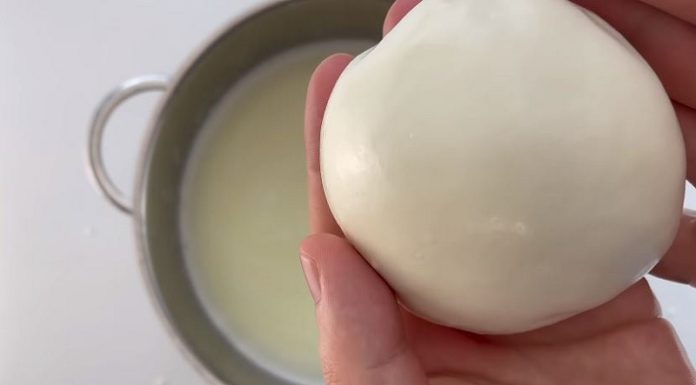Secret recipe to make delicious homemade mozzarella cheese with only 2 ingredients