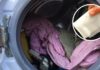 Surprising Benefits of Adding a Damp Paper Towel in the Washing Machine- Every Household Needs It This Winter