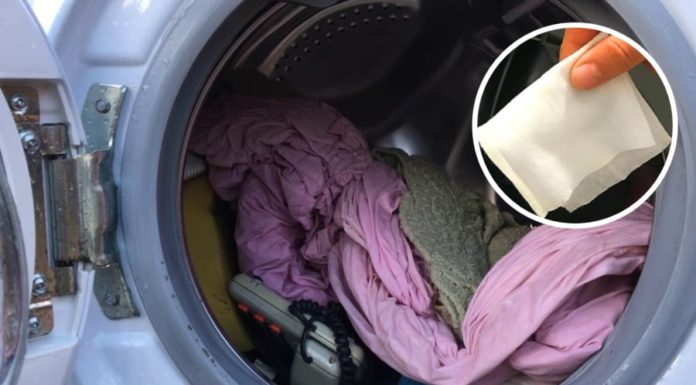 Surprising Benefits of Adding a Damp Paper Towel in the Washing Machine- Every Household Needs It This Winter
