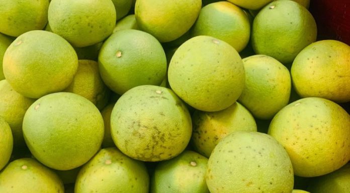 The Sweet Taste of Vietnam: Pomelo Doan Hung – A Homegrown Delight