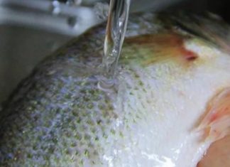 Just remember these 3 things when cooking fish, no need to worry about it tasting fishy