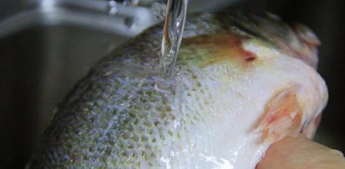 Just remember these 3 things when cooking fish, no need to worry about it tasting fishy