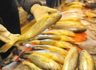 4 Natural Fish Types You Can’t Farm, Don’t Hesitate to Buy When You See at the Market