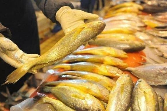 4 Natural Fish Types You Can’t Farm, Don’t Hesitate to Buy When You See at the Market